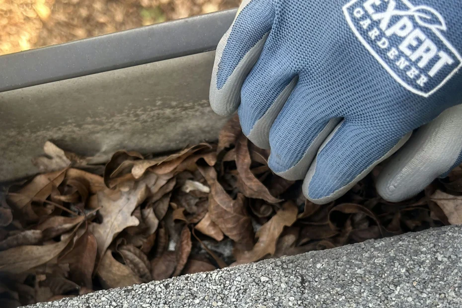 Gutter Cleaning Dormont